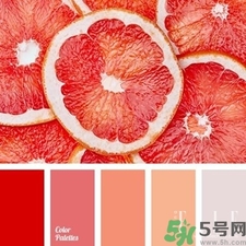 西柚色口紅的牌子哪款好？西柚色口紅有哪些牌子