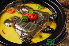 喝甲魚血能治陽(yáng)痿嗎？甲魚血能喝嗎？