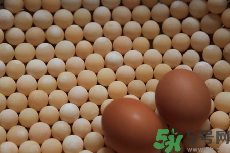 甲魚蛋多少錢一斤？甲魚蛋多少錢一個？