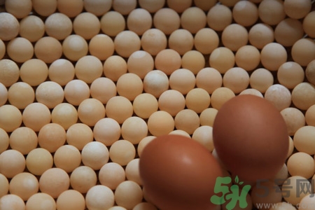 甲魚蛋能吃嗎？甲魚蛋怎么做好吃？