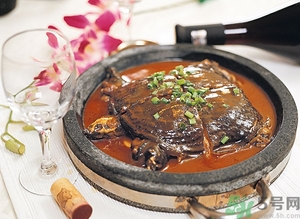 野生甲魚(yú)和養(yǎng)殖甲魚(yú)哪個(gè)好?野生甲魚(yú)和養(yǎng)殖甲魚(yú)的區(qū)別 野生甲魚(yú)和養(yǎng)殖甲魚(yú)哪個(gè)好?野生甲魚(yú)和養(yǎng)殖甲魚(yú)的區(qū)別