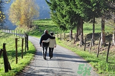 散步可以降血壓?jiǎn)?散步有什么好處 散步可以降血壓?jiǎn)?散步有什么好處