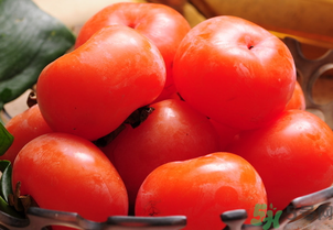 女人吃柿子有什么好處？女人吃柿子好嗎？