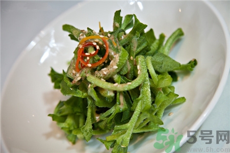 冰菜的營養(yǎng)價(jià)值 冰菜的功效與作用 冰菜的營養(yǎng)價(jià)值 冰菜的功效與作用