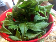 冰菜的營養(yǎng)價(jià)值 冰菜的功效與作用 冰菜的營養(yǎng)價(jià)值 冰菜的功效與作用