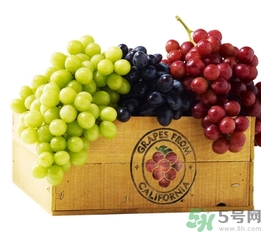 葡萄酒保質(zhì)期是多久？葡萄酒過期了能喝嗎？