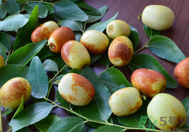 寶寶能吃鮮棗嗎？一歲寶寶可以吃鮮棗嗎？