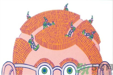 吃什么掉掉頭發(fā)？掉頭發(fā)吃什么好？