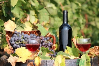 葡萄酒為什么要醒酒？葡萄酒醒酒的方法