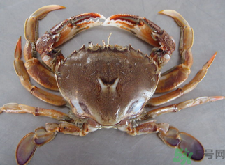 螃蟹和鮮棗能一起吃嗎？螃蟹和大棗能一起吃嗎？