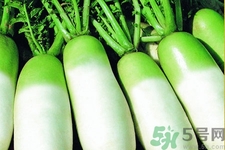 秋天吃白蘿卜好嗎？吃白蘿卜有什么好處和壞處？