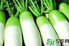 白蘿卜怎么吃最好？白蘿卜怎么吃最有營養(yǎng)？