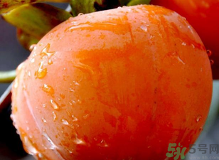 寶寶可以吃柿子嗎？寶寶能柿子嗎？