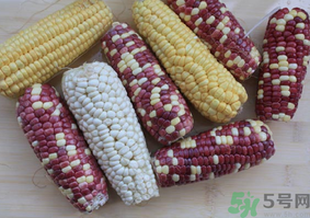 彩色玉米是轉(zhuǎn)基因嗎？彩色玉米能吃嗎？