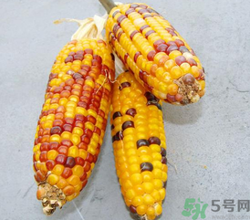 彩色玉米是轉(zhuǎn)基因嗎？彩色玉米能吃嗎？