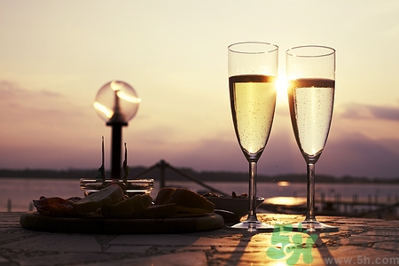 葡萄酒里的二氧化硫是怎么回事?葡萄酒里為什么有二氧化硫 葡萄酒里的二氧化硫是怎么回事?葡萄酒里為什么有二氧化硫