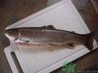 吃石斑魚會(huì)中毒嗎?石斑魚怎么處理 吃石斑魚會(huì)中毒嗎?石斑魚怎么處理