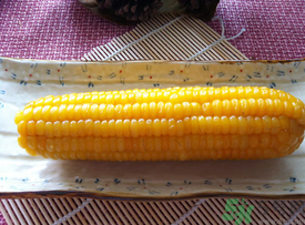 糯玉米煮多久能熟？糯玉米怎樣煮好吃？