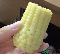 玉米沒煮熟能吃嗎？沒煮熟的玉米能吃嗎？