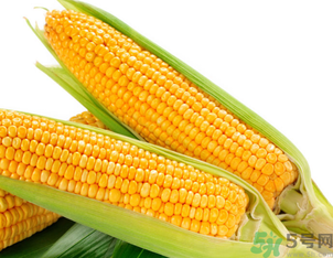 新鮮玉米可以冷凍嗎？新鮮玉米能放冷凍嗎？