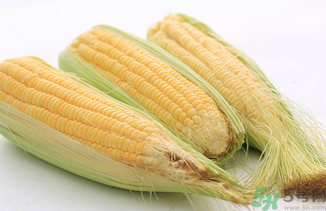 新鮮玉米可以冷凍嗎？新鮮玉米能放冷凍嗎？