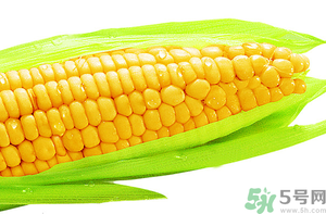新鮮玉米怎么保存？鮮玉米怎么保存？