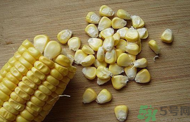 玉米?？梢葬炇裁呆~(yú)？玉米粒釣魚(yú)方法