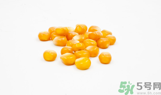 玉米粒可以釣什么魚(yú)？玉米粒釣魚(yú)方法