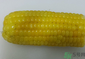 煮熟的玉米能釣魚(yú)嗎？煮熟的玉米能直接釣魚(yú)嗎？