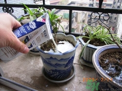 牛奶過(guò)期了還能喝嗎？牛奶過(guò)期了如何利用？