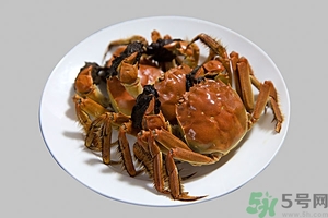 吃大閘蟹配什么酒好？大閘蟹和什么酒搭配最好吃