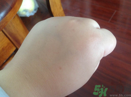 悅詩(shī)風(fēng)吟白牡丹面霜多少錢?悅詩(shī)風(fēng)吟白牡丹面霜專柜價(jià)格