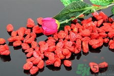 高血壓能吃枸杞嗎？什么人不適合吃枸杞？