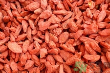 高血壓能吃枸杞嗎？什么人不適合吃枸杞？