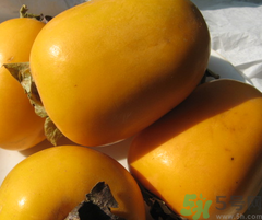 脆柿子可以放冰箱嗎？脆柿子怎么保存？