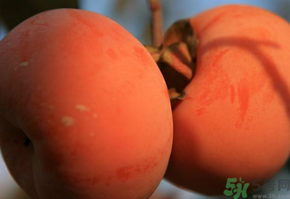 大柿子不能和什么同吃？大柿子和什么食物相克？