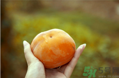 凍柿子和酸奶可以一起吃嗎？?jī)鍪磷雍退崮虝?huì)中毒嗎？