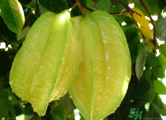 10月份吃什么水果好？十月份吃什么水果？