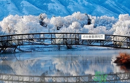 立冬穿什么衣服？立冬穿衣搭配