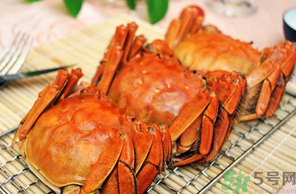 十月份吃公蟹還是母蟹？10月份吃公蟹還是母蟹？