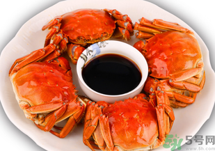 十月份吃公蟹還是母蟹？10月份吃公蟹還是母蟹？