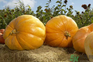 十月份吃什么蔬菜？10月份吃什么蔬菜？