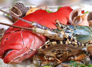 十月份吃什么海鮮？10月份吃什么海鮮？