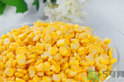 秋天釣魚(yú)用什么餌料？秋季釣魚(yú)用什么餌料好？