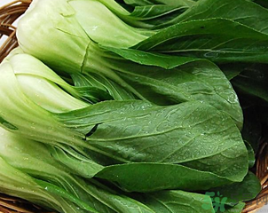 青菜可以放冰箱嗎？青菜能放冰箱保鮮嗎？