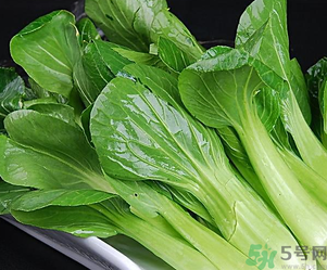 青菜可以放冰箱嗎？青菜能放冰箱保鮮嗎？