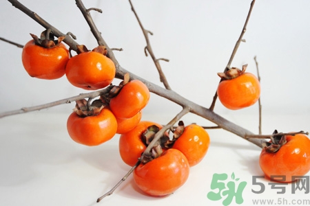 脆柿子哪個季節(jié)的？脆柿子什么時候吃最好？