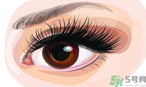 秋天適合割雙眼皮嗎？秋天割雙眼皮好嗎？