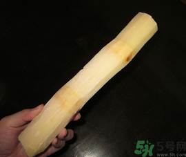 甘蔗可以放冰箱嗎？甘蔗放冰箱能保存多久？