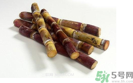 甘蔗可以止咳嗎？甘蔗可以治咳嗽嗎？